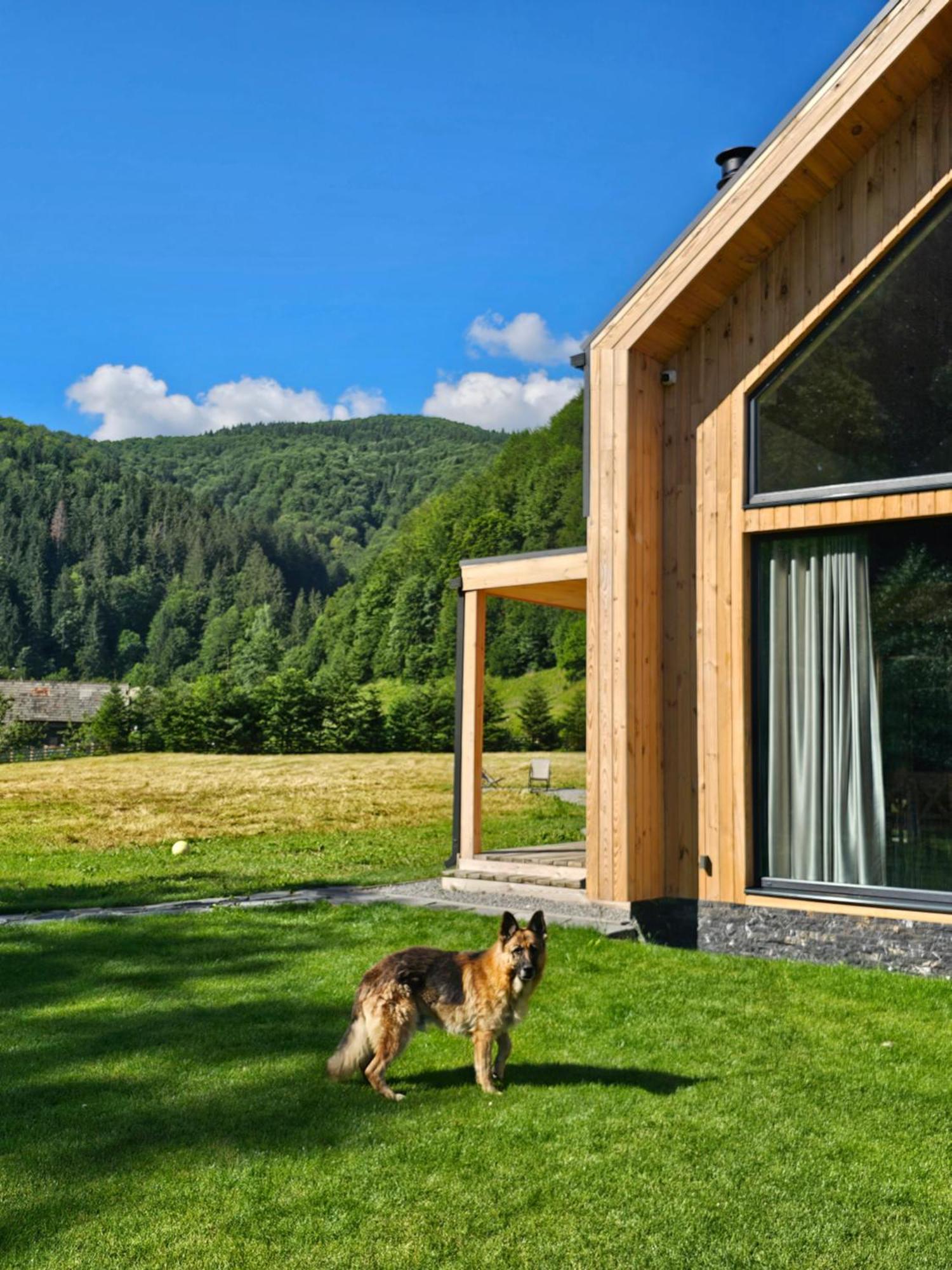 Vama Chalet Vama Buzaului Exterior foto
