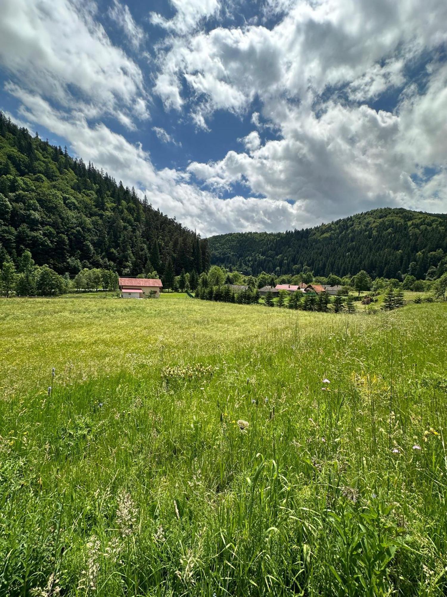 Vama Chalet Vama Buzaului Exterior foto